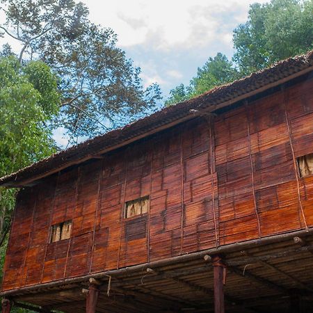 Rain Forest Inn Ringlet Exterior photo