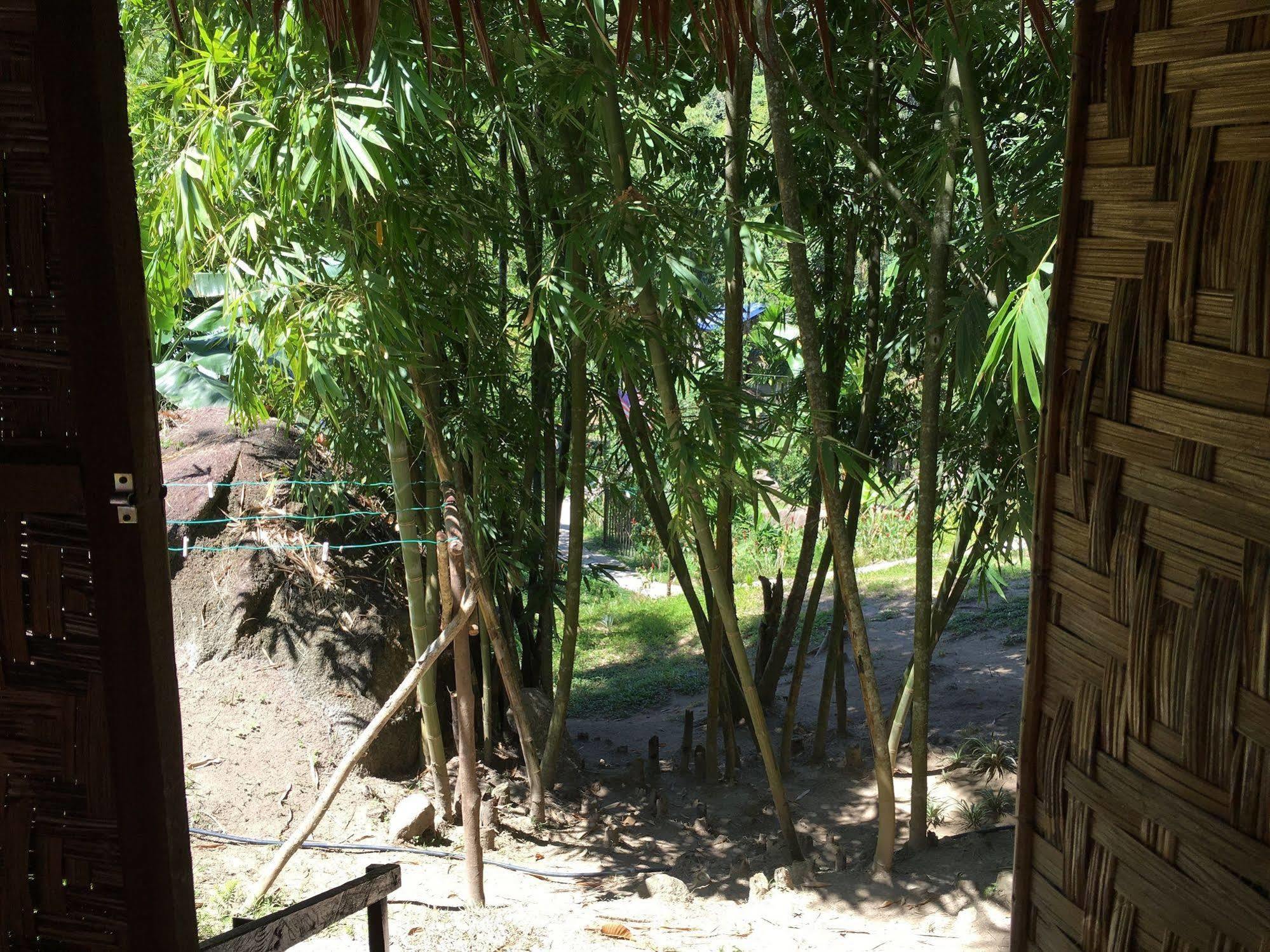 Rain Forest Inn Ringlet Exterior photo